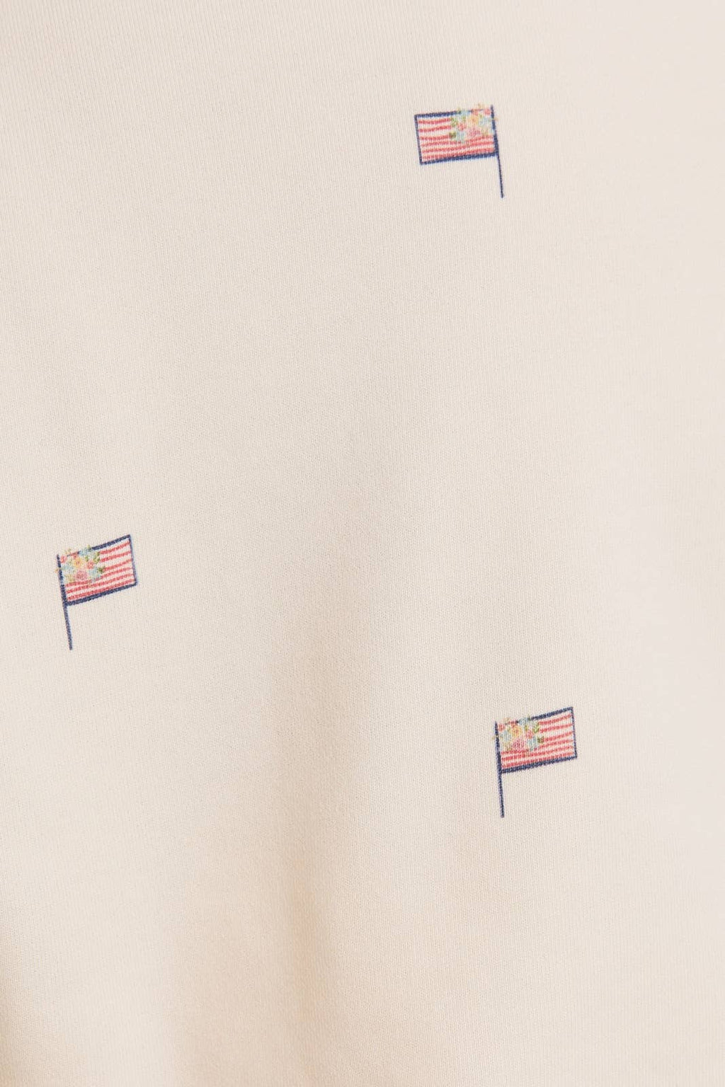 'USA FLAG' GRAPHIC SWEATSHIRT & SWEATSHORTS