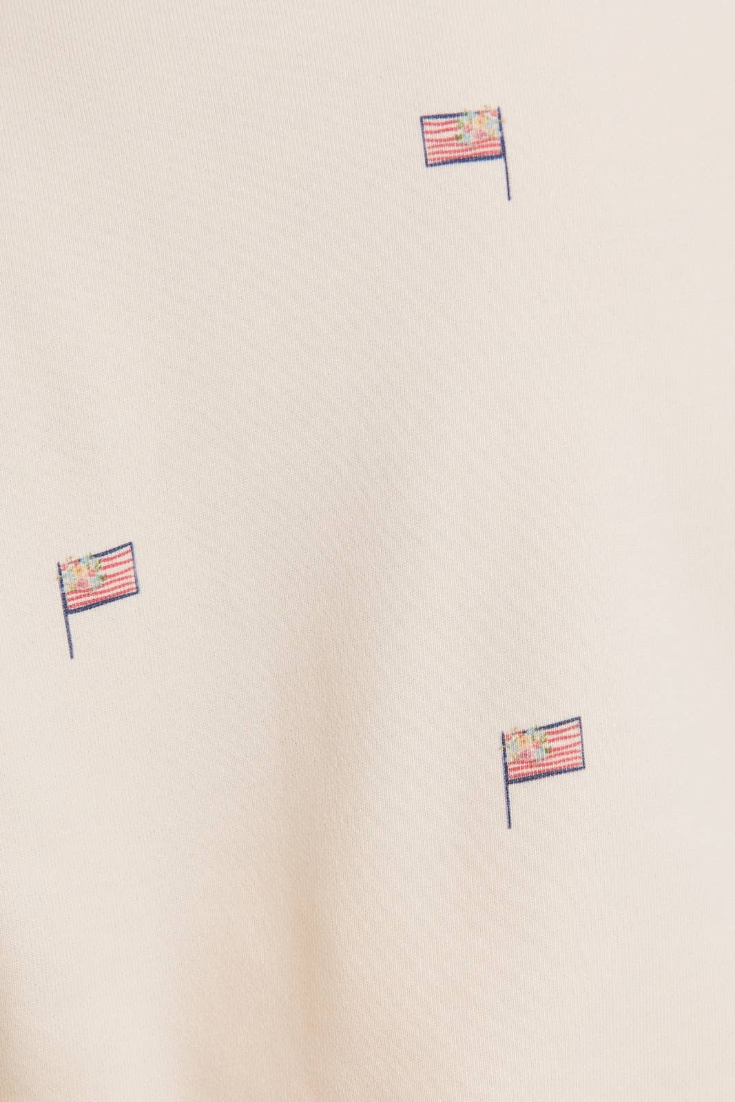 'USA FLAG' GRAPHIC SWEATSHIRT & SWEATSHORTS